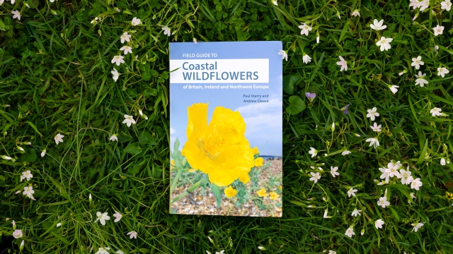 Field Guide to Coastal Wildflowers front cover