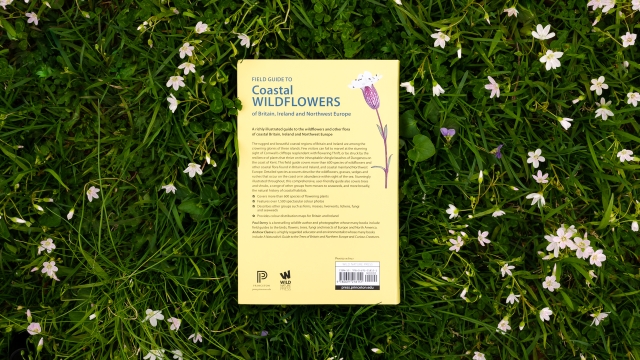 Field Guide to Coastal Wildflowers - back cover
