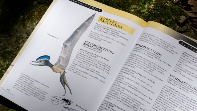 The Princeton Field Guide to Pterosaurs - Euptero-Dactyloids