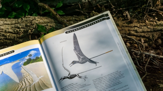 The Princeton Field Guide to Pterosaurs - Macronychopterans