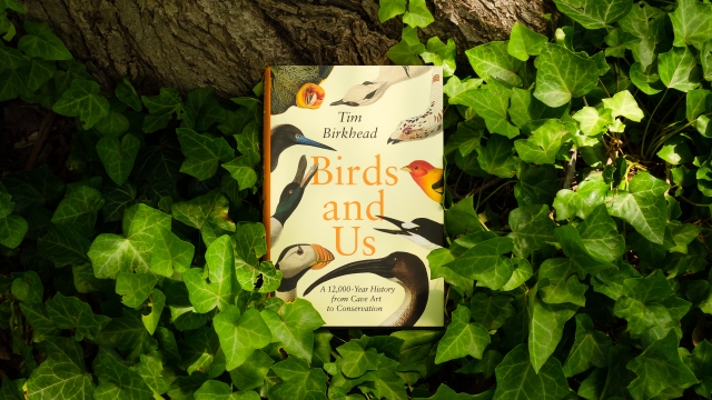Birds and Us front cover