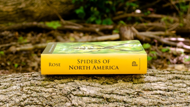 Spiders of North America spine