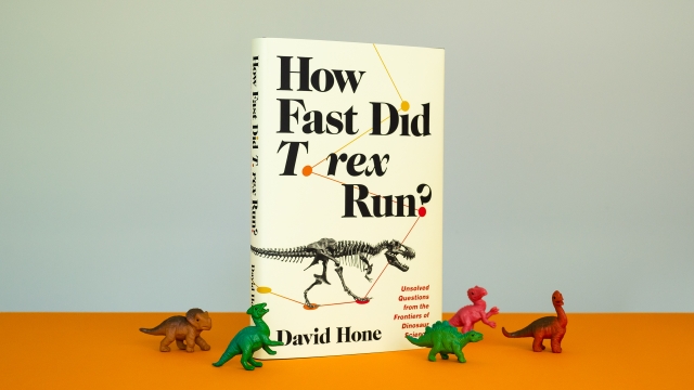 How Fast Did T. rex Run - cover with dinosaurs
