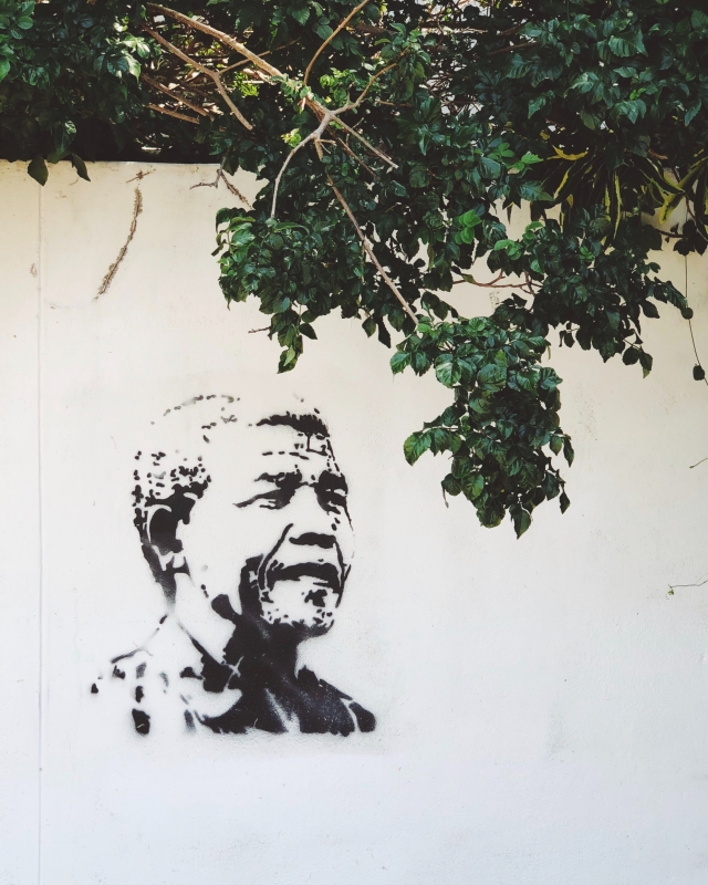 An illustration of Nelson Mandela on a wall with ivy