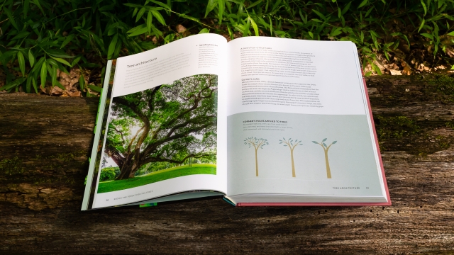 The World Atlas of Trees and Forests - page spread - Tree Architecture