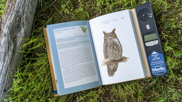 Backyard Birdsong Guide - Great Horned Owl