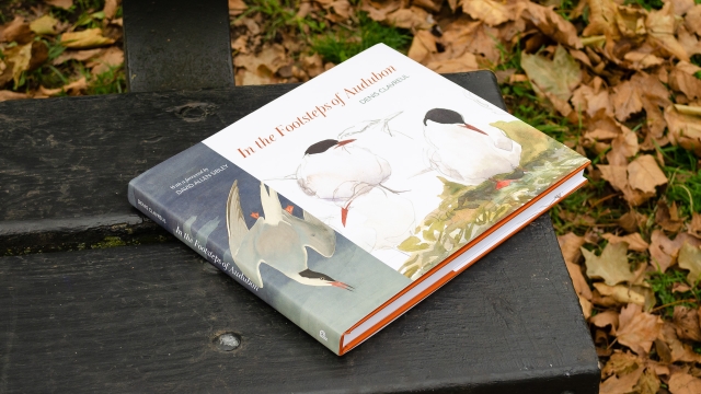 In the Footsteps of Audubon front cover