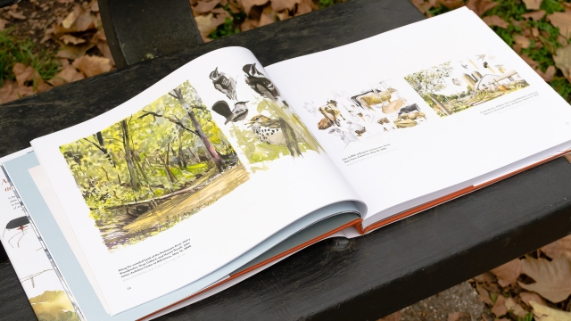 In the Footsteps of Audubon - p26-27, color watercolor nature images, woods, birds, farm