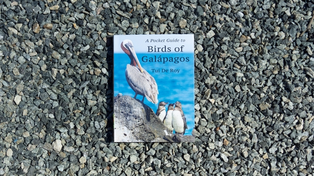 Pocket Guide to Birds of the Galapagos - front cover