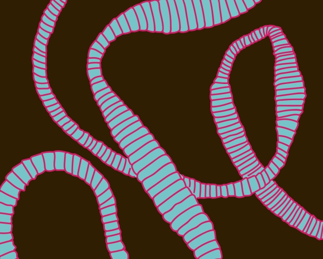 A simple illustration resembling a parasitic worm