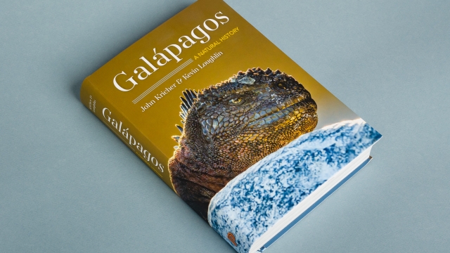 Galapagos - front cover