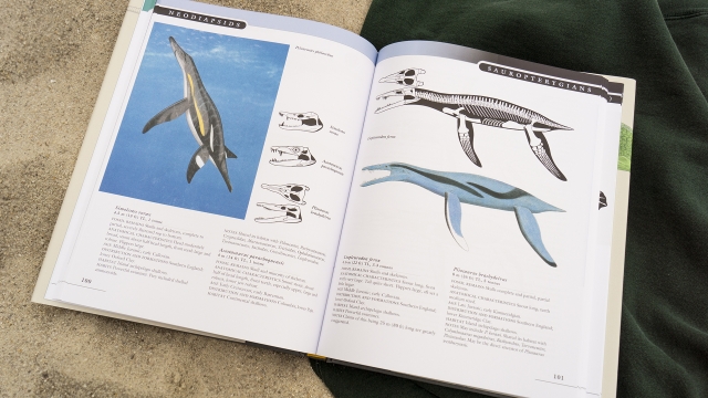 The Princeton Field Guide to Mesozoic Sea Reptiles - Neodiapsids and Sauropterygians