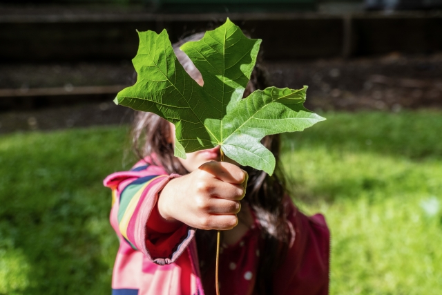 girl holding a green leaf