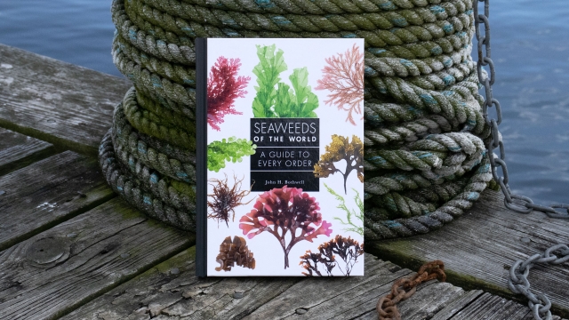 Seaweeds of the Word - Front cover