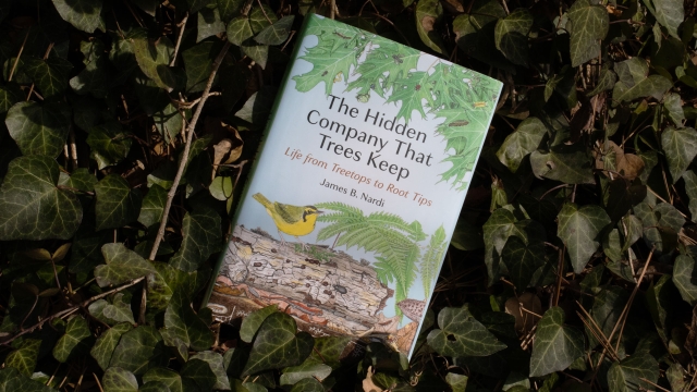 The Hidden Company That Trees Keep front cover