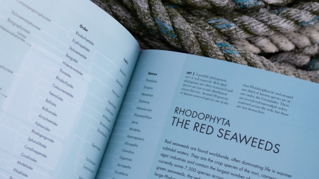 Seaweeds of the World - right page top