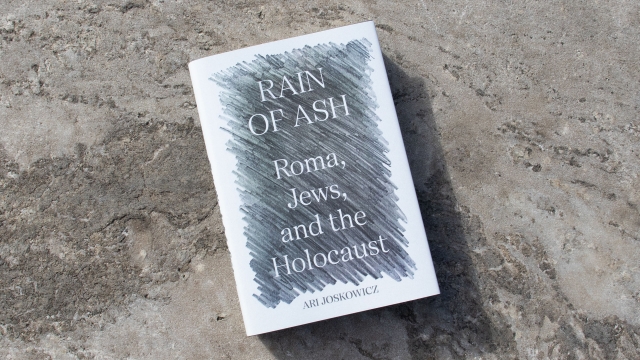 Rain of Ash front cover