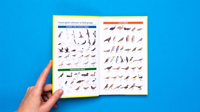 Pocket Guide to Birds of Australia - Visual quick reference to bird groups