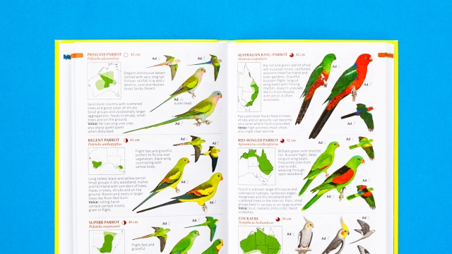 Pocket Guide to Birds of Australia - parrot entries pagespread