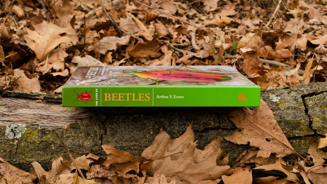 The Lives of Beetles spine