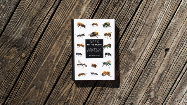 Bees of the World front cover