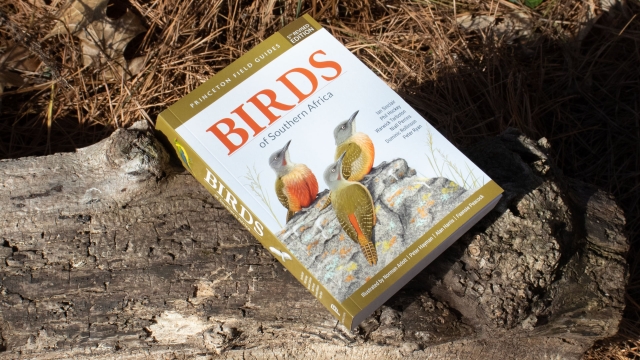 Birds of Southern Africa | Princeton University Press