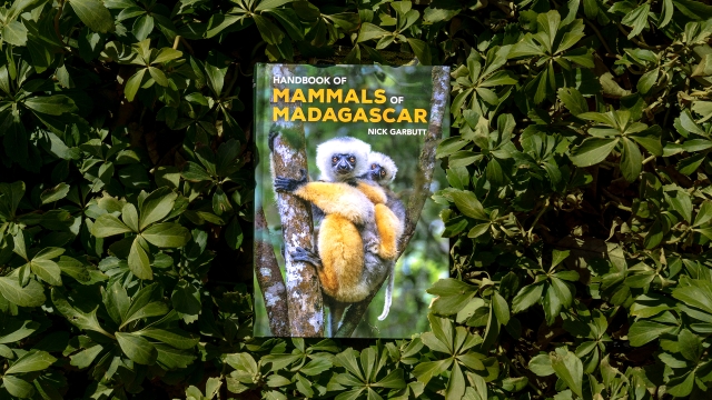 Mammals of Madagascar front cover
