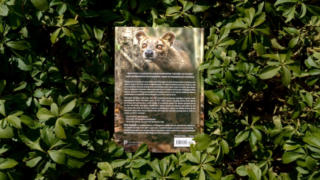 Mammals of Madagascar back cover