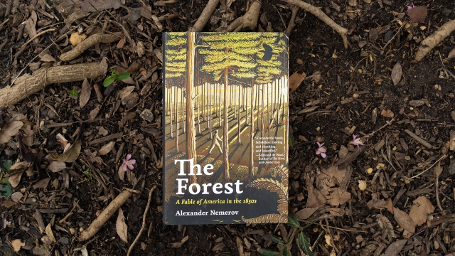 The Forest front cover