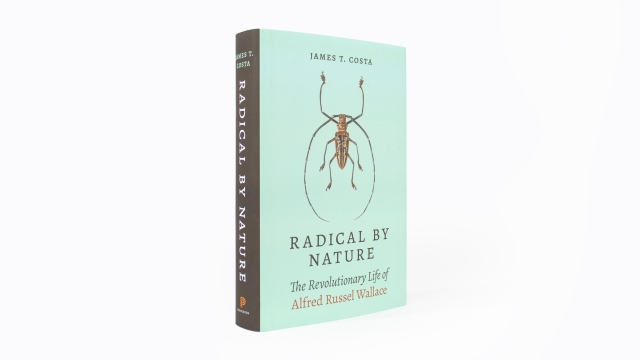 Radical by Nature front