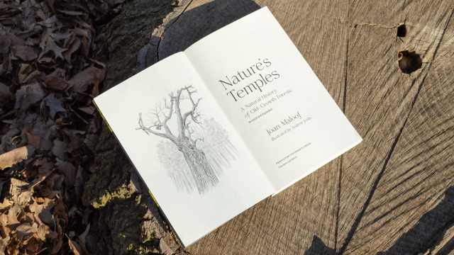 Nature's Temples title pages
