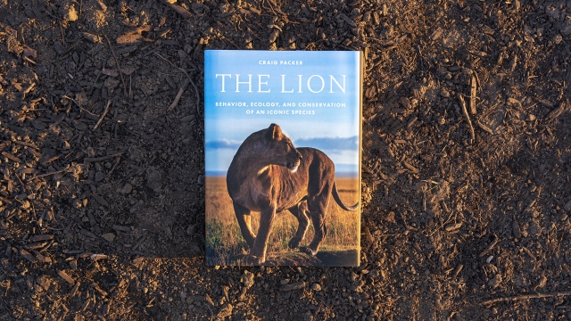 The Lion front cover