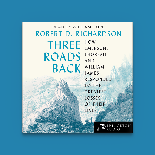 Three Roads Back audiobook cover