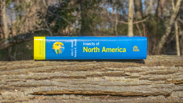 Insects of America book spine