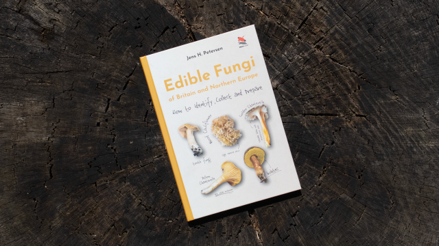 Edible Fungi of Britain and Northern Europe front book cover