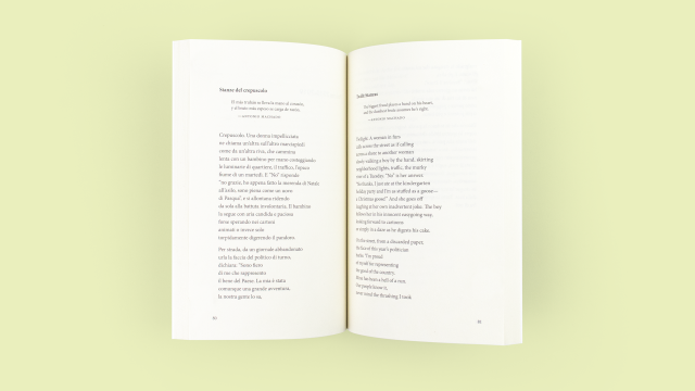 Brief Homage to Pluto and Other Poems - 2 page spread