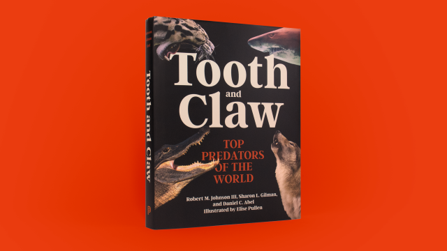 Tooth and Claw - front cover of book