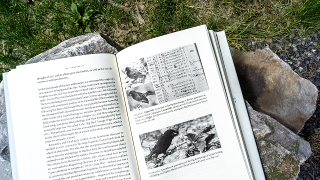 Enchanted by Daphne - top of right facing page with text and black and white photos of finches