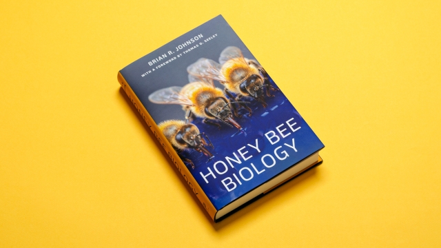 Honey Bee Biology front cover