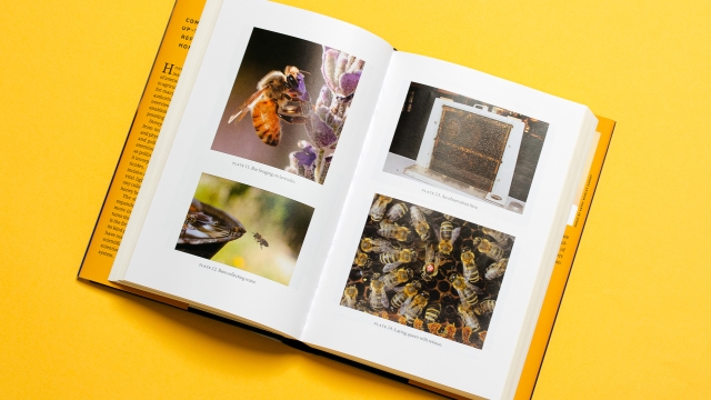 Honey Bee Biology page spread with photos of bees in and out of hives