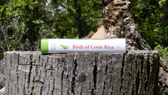 Birds of Costa Rica - book spine