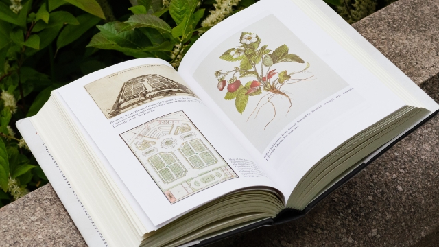 The Man Who Organized Nature - pagespread showing color garden diagrams and strawberry plant illustration
