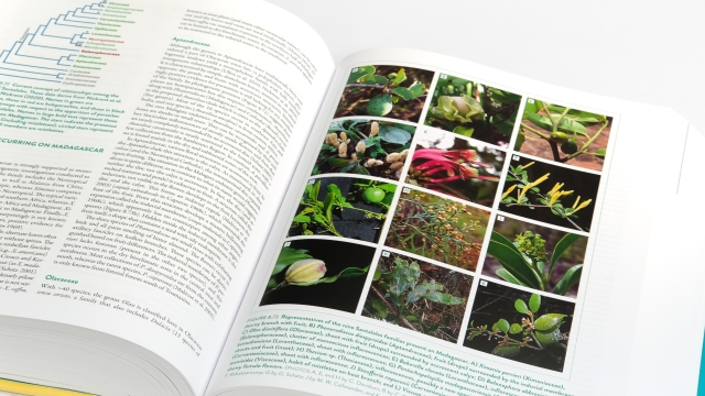 The New Natural History of Madagascar page spread with color photographs of small plants