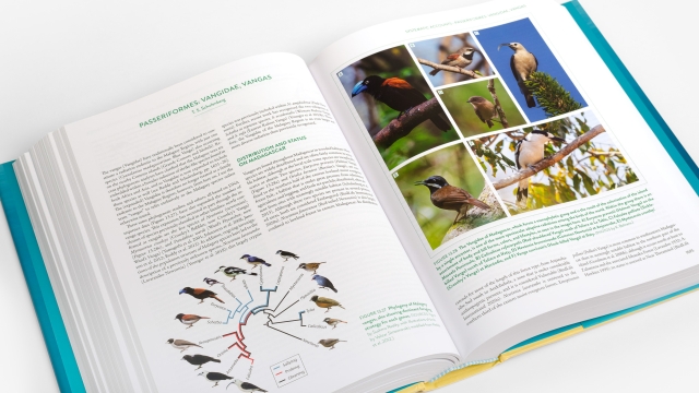The New Natural History of Madagascar page spread of Passeriformes entry with infographic and color photographs