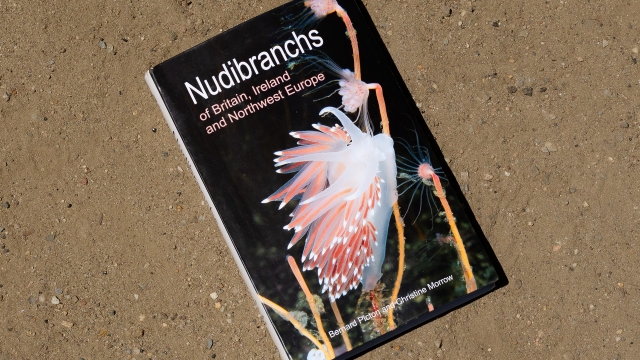 Nudibranchs of Britain, Ireland and Western Europe front cover