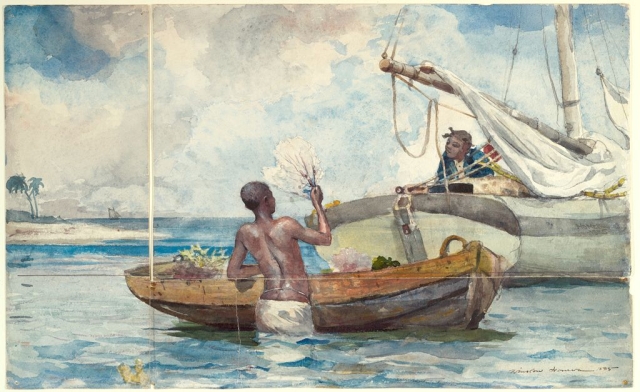 The painting Sea Garden, Bahamas by Winslow Homer