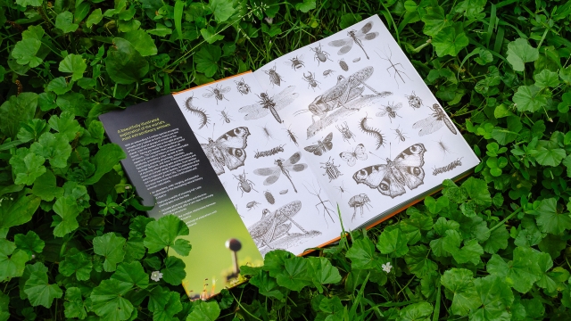 The Complete Insect open book showing facing pages