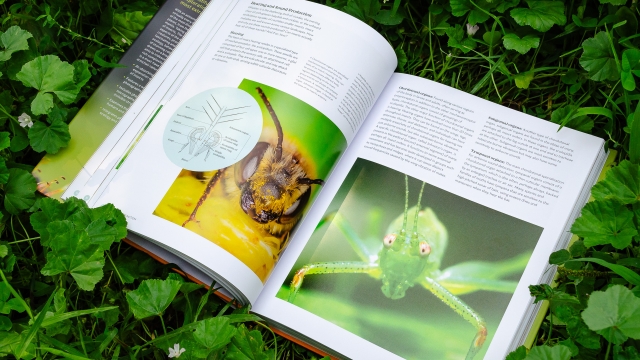 The Complete Insect open book showing facing pages