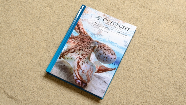 The Lives of Octopuses front cover