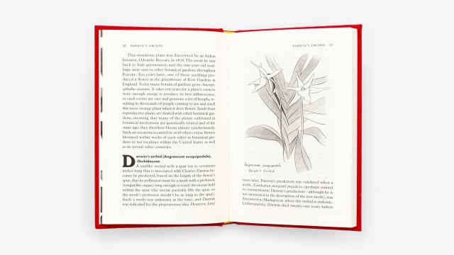 Florapedia Darwin's orchid entry page spread